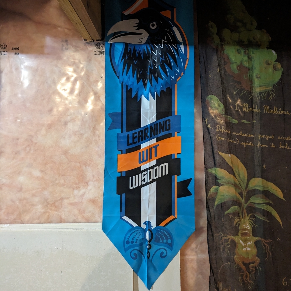 5 for 30 - Ravenclaw banner